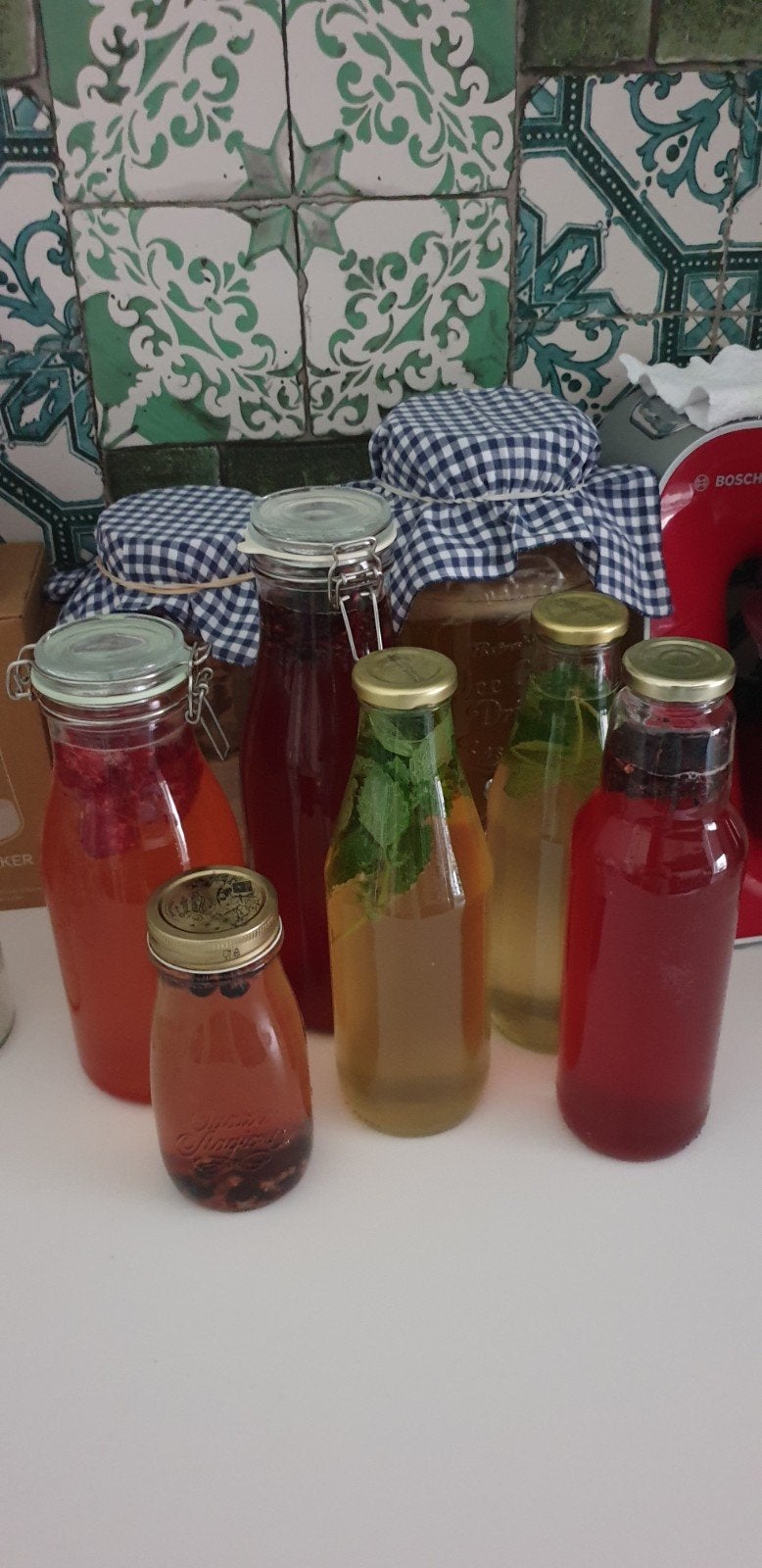 Biologische kombucha scoby met gratis startervloeistof, Diversen, Ophalen
