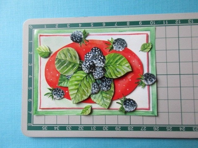 155 Fruit, Verzenden, Nieuw, Natuur, Overige typen