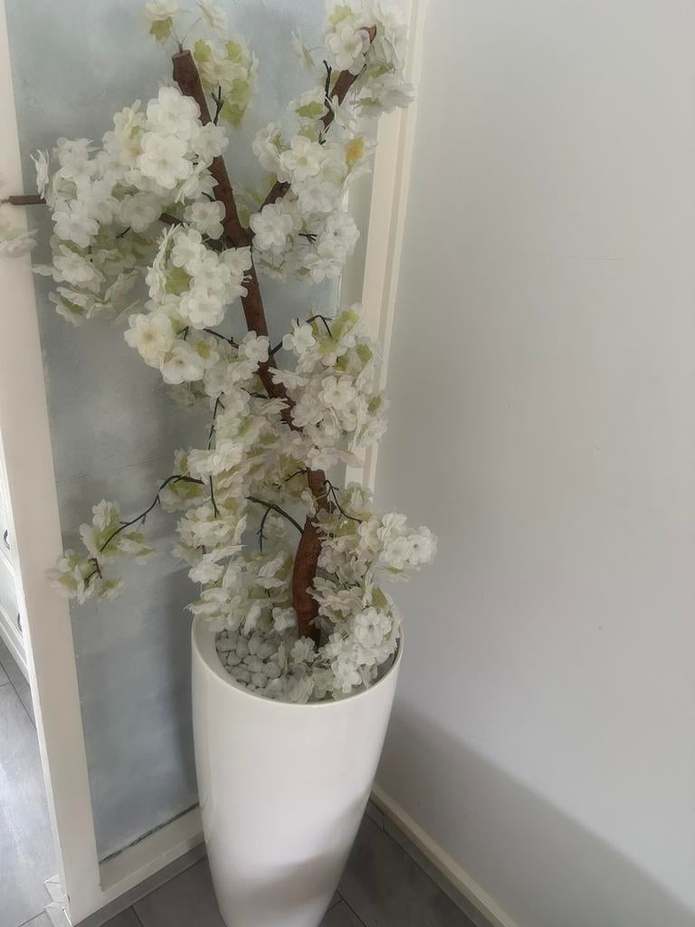 Bijna gratis bloesemboom, Huis en Inrichting, Woonaccessoires | Kunstplanten en Kunstbloemen, Ophalen of Verzenden, Zo goed als nieuw