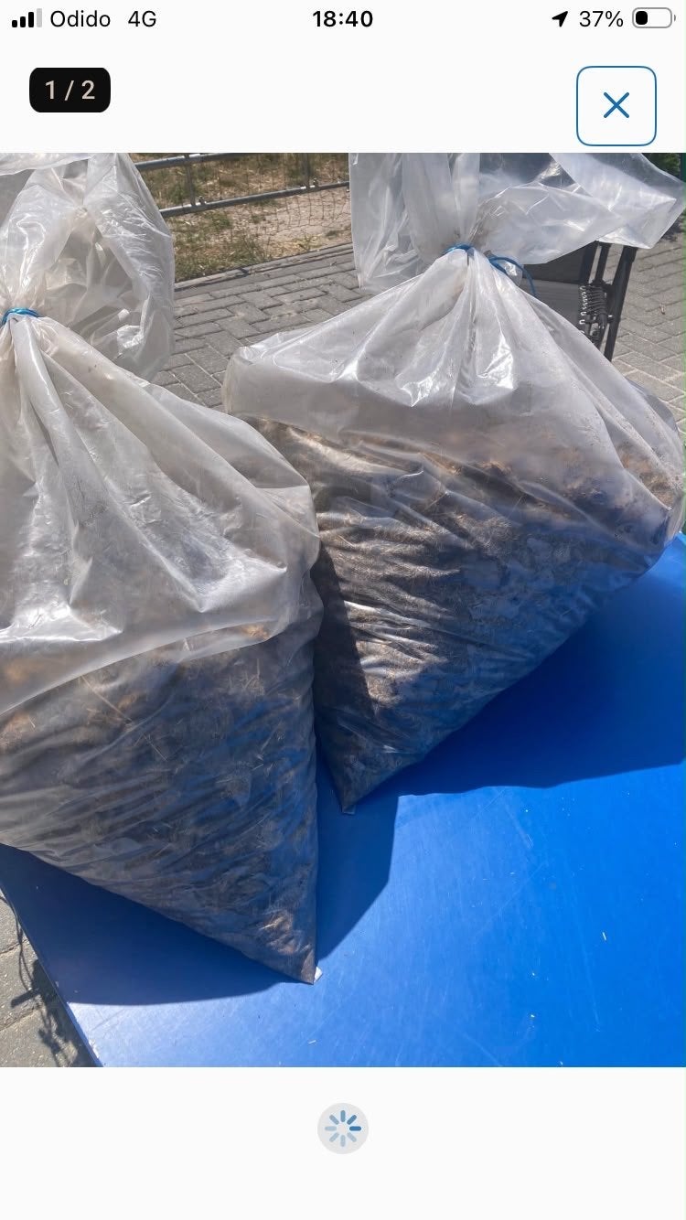 Gratis, Schone paardenmest voor uw tuin, Ophalen, Mest