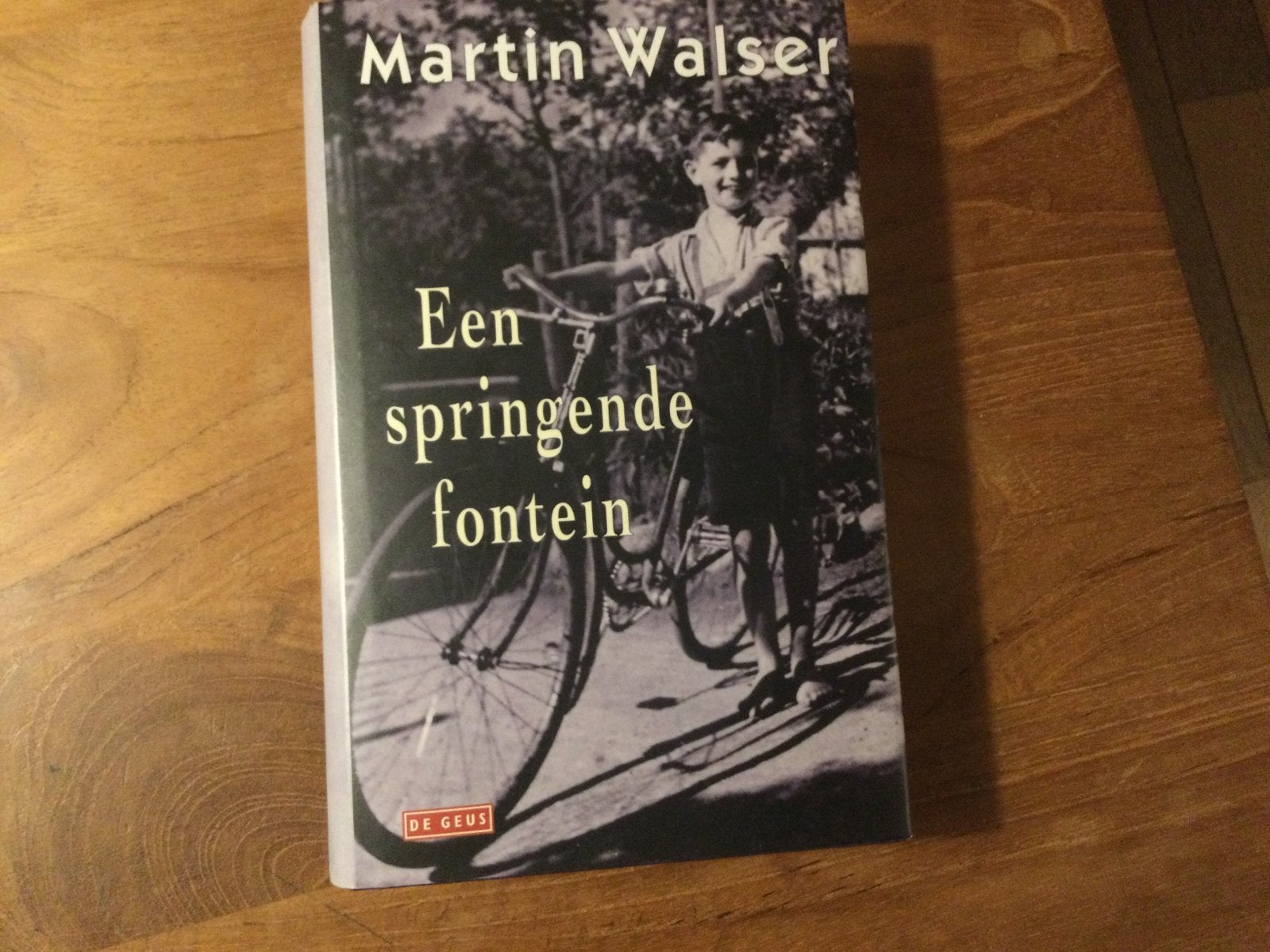 Martin Walser, Een springende fontein, Boeken, Ophalen of Verzenden, Zo goed als nieuw, Martin Walser, Europa overig