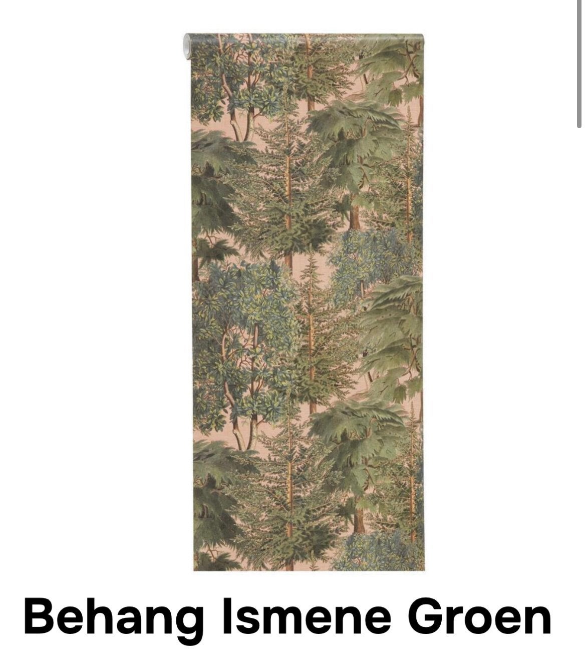 GEZOCHT: Kwantum behang Ismene, Ophalen of Verzenden, Vliesbehang