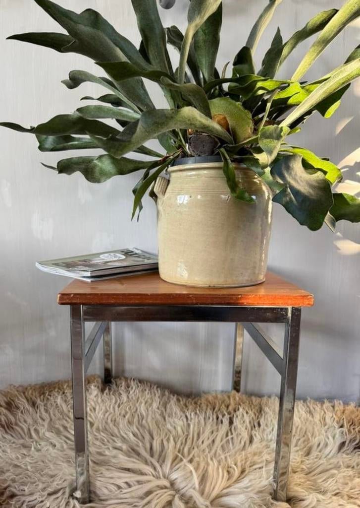 Vintage bijzettafel tafeltje plantentafeltje, Ophalen