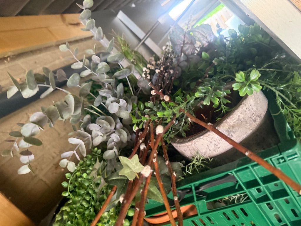 Diverse kunstplanten en -takken inclusief potjes, Ophalen, Binnen, Onderhoudsvrij, Kunstplant