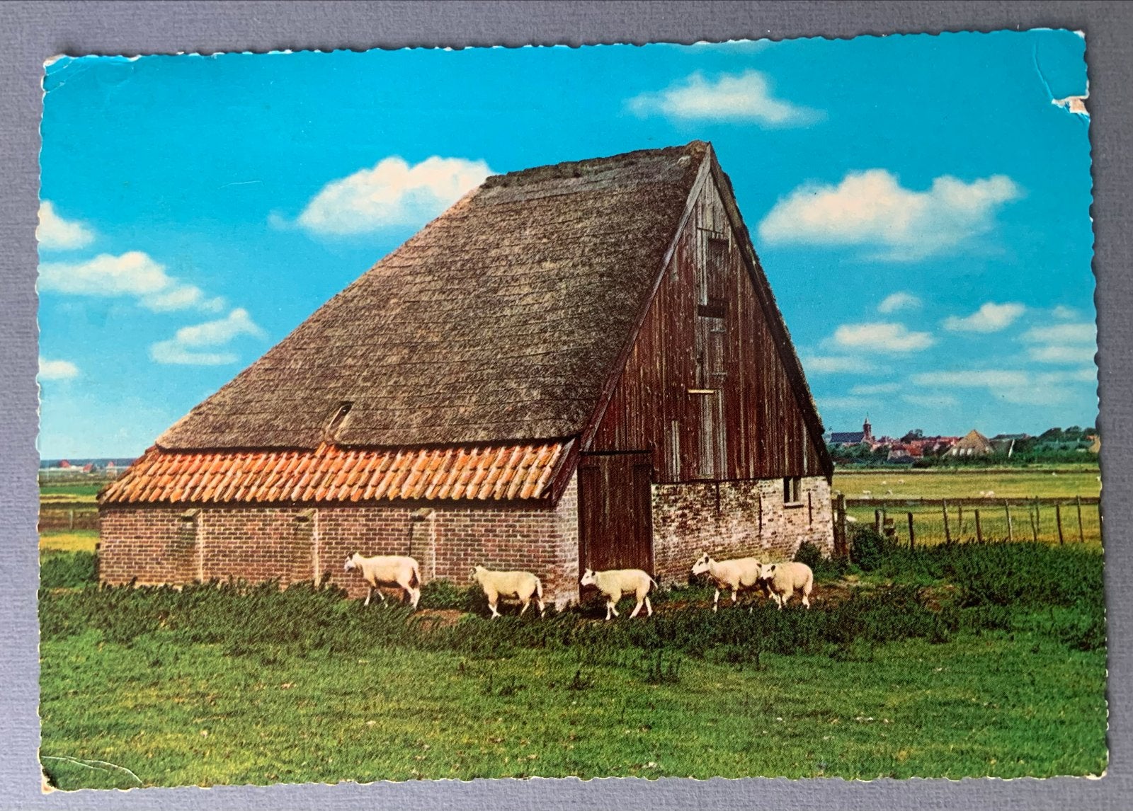 Texel - Schapenboet, Verzenden, Gelopen, Waddeneilanden