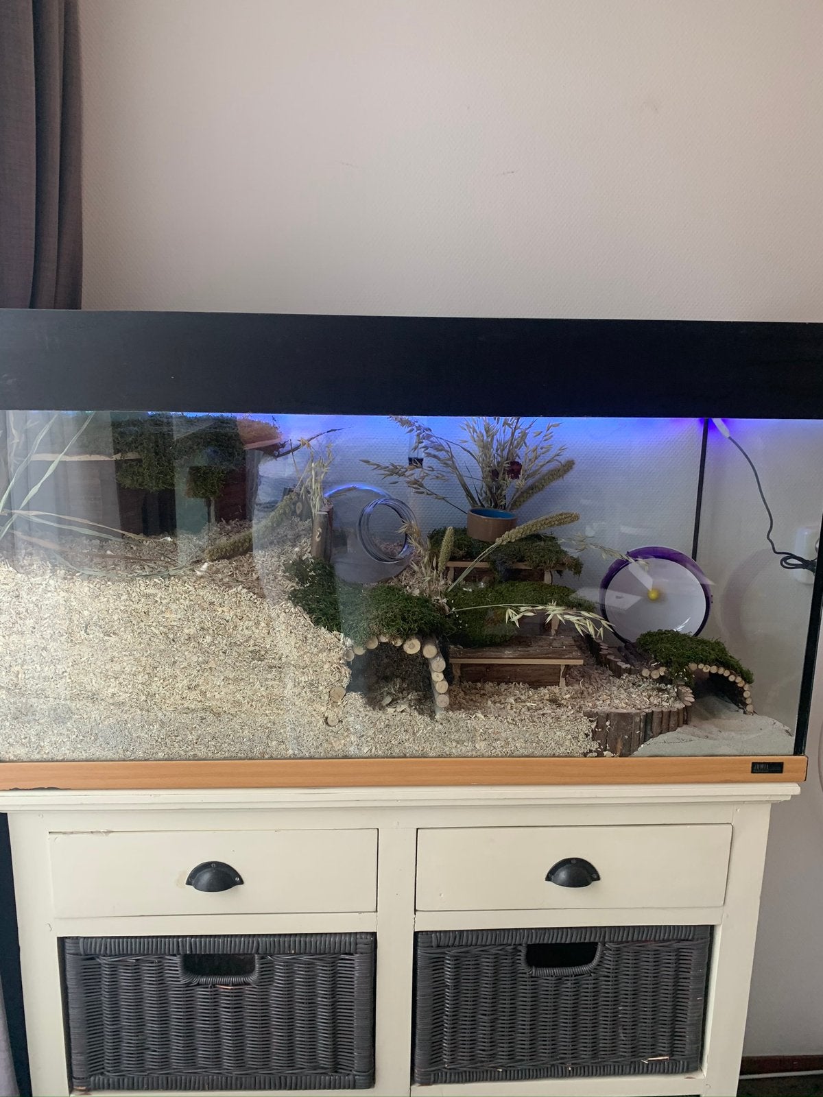 Gezocht: leeg eventueel lek aqarium., Ophalen, Gebruikt, Leeg aquarium