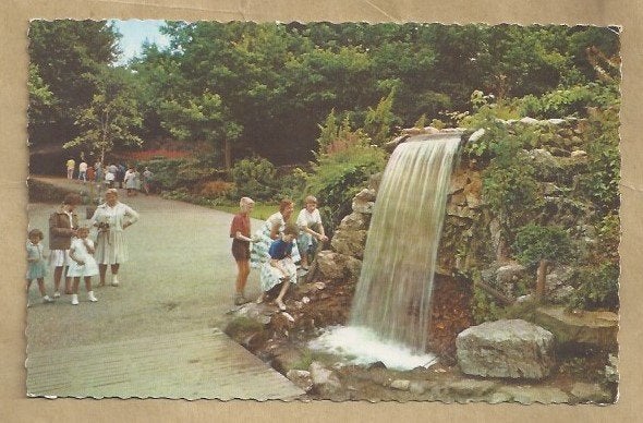 Oude Ansichtkaart Apeldoorn Waterval Berg en Bos, Ophalen of Verzenden, 1940 tot 1960, Gelopen, Gelderland