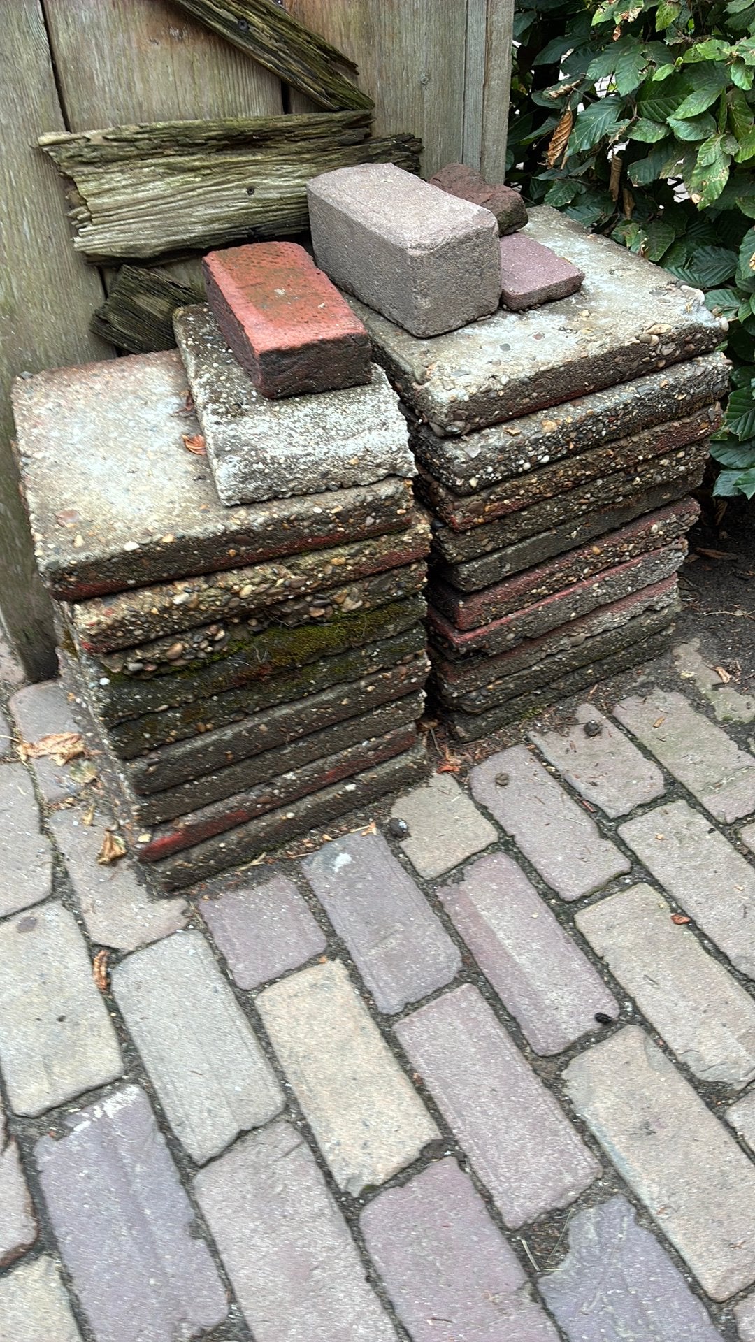Betontegel 19 stuks gratis, Ophalen, Gebruikt, Beton, Terrastegels