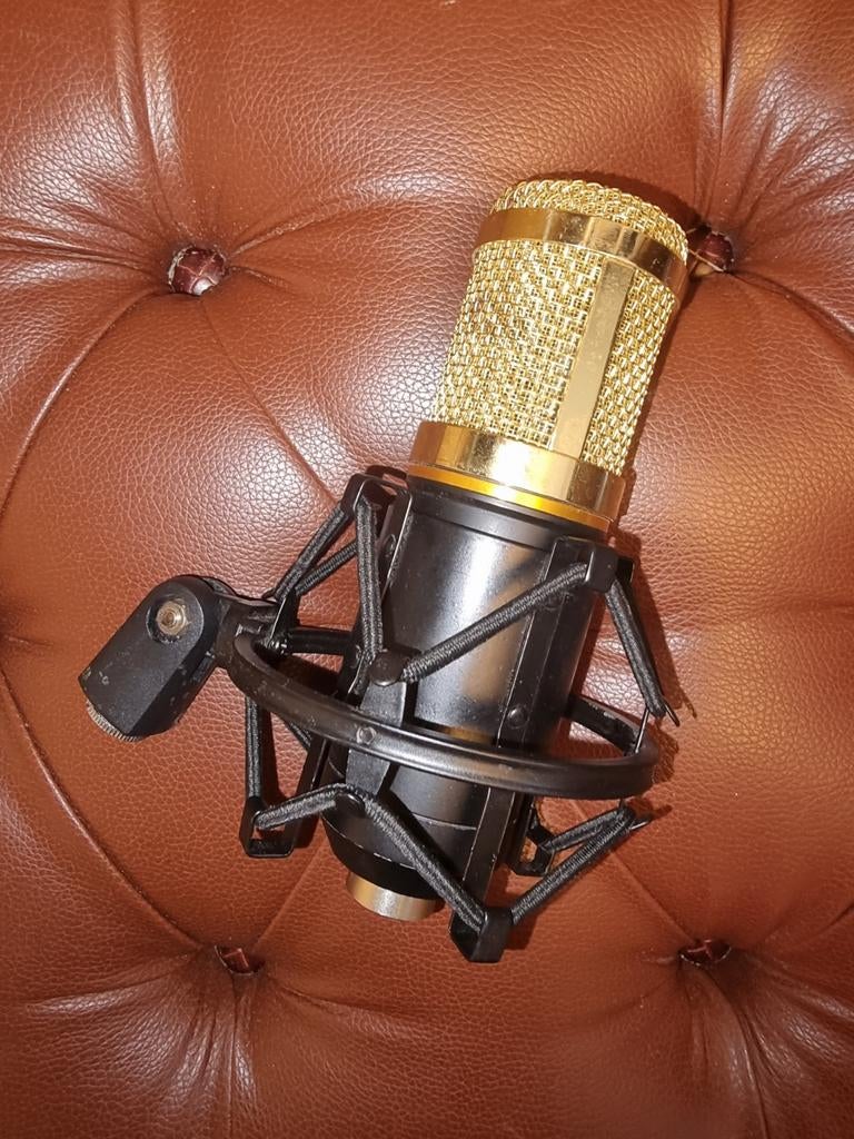 BM800 studio microfoon met spin, Verzenden, Gebruikt, Studiomicrofoon