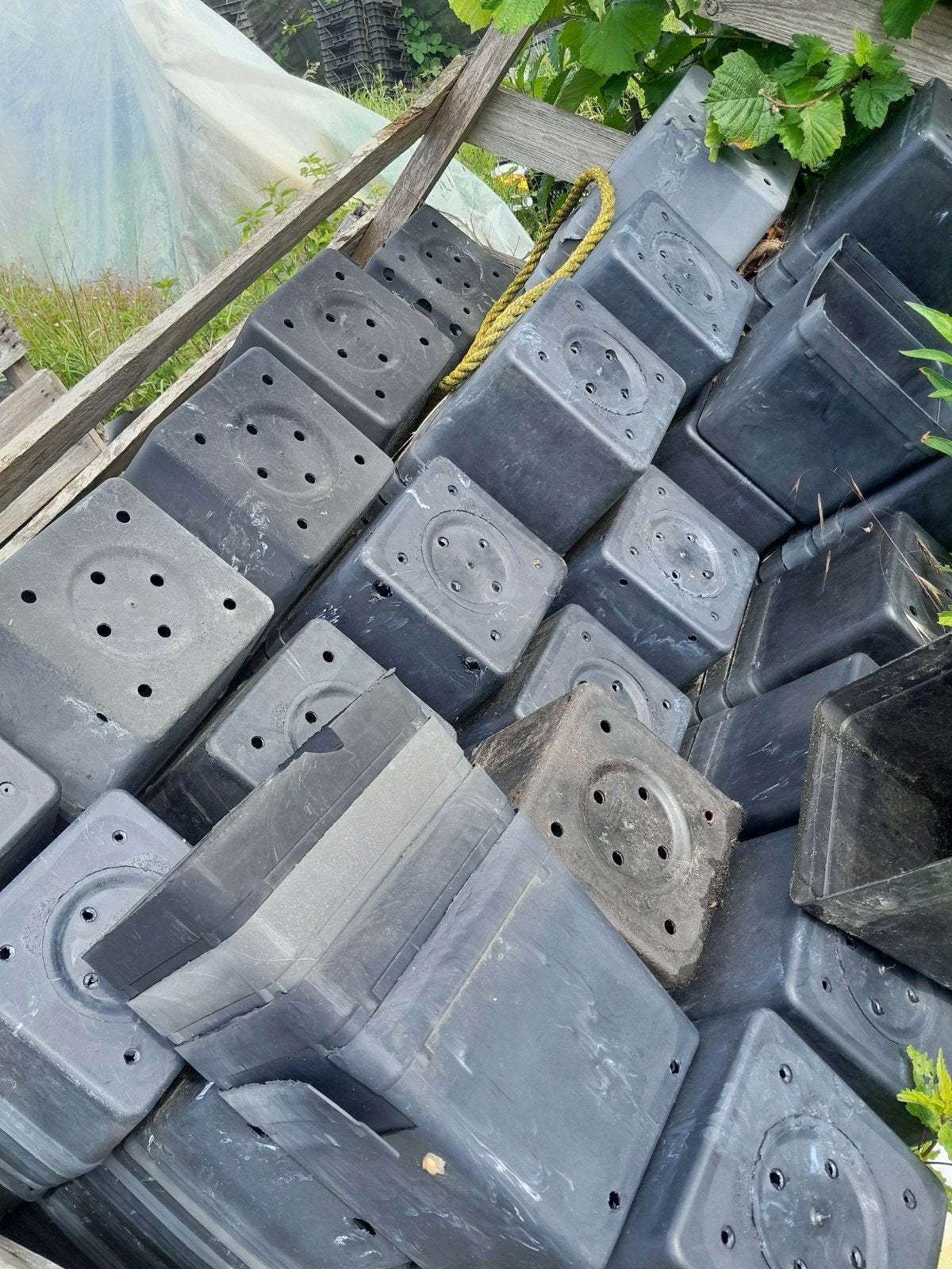 Kweekpotten / Plantenpotten - Diverse maten, Ophalen