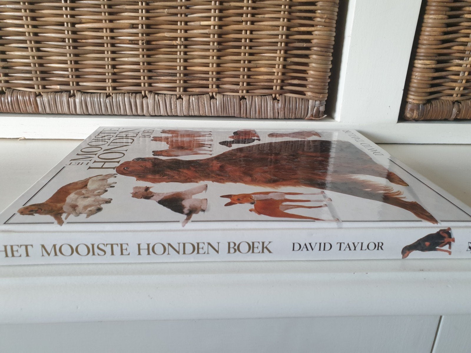 Het mooiste hondenboek - David Taylor, Boeken, Ophalen of Verzenden, Gelezen, Katten