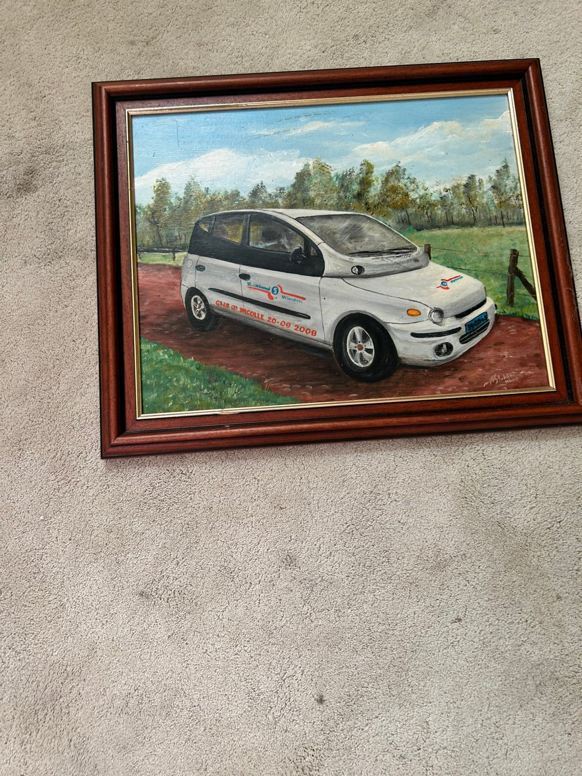 Schilderij multipla, Ophalen of Verzenden