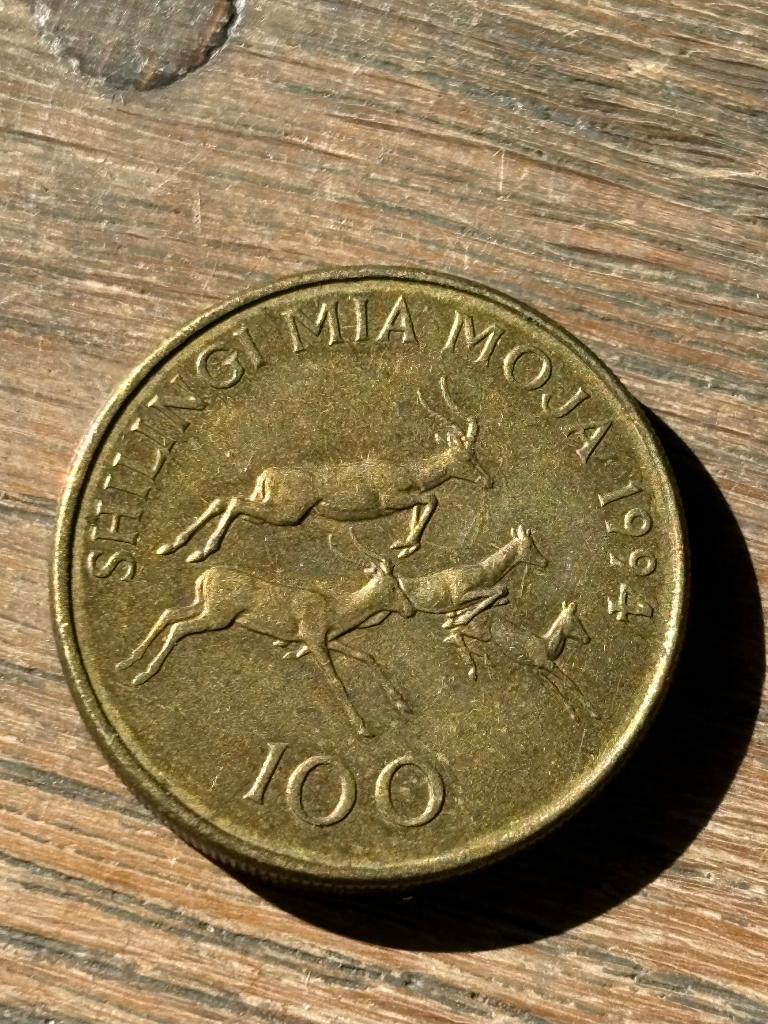 100 Shilling 1994 Tanzania, Ophalen of Verzenden, Tanzania, Losse munt