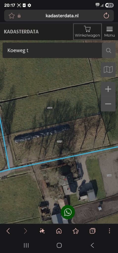 Weiland te koop, Dieren en Toebehoren, Stalling en Weidegang
