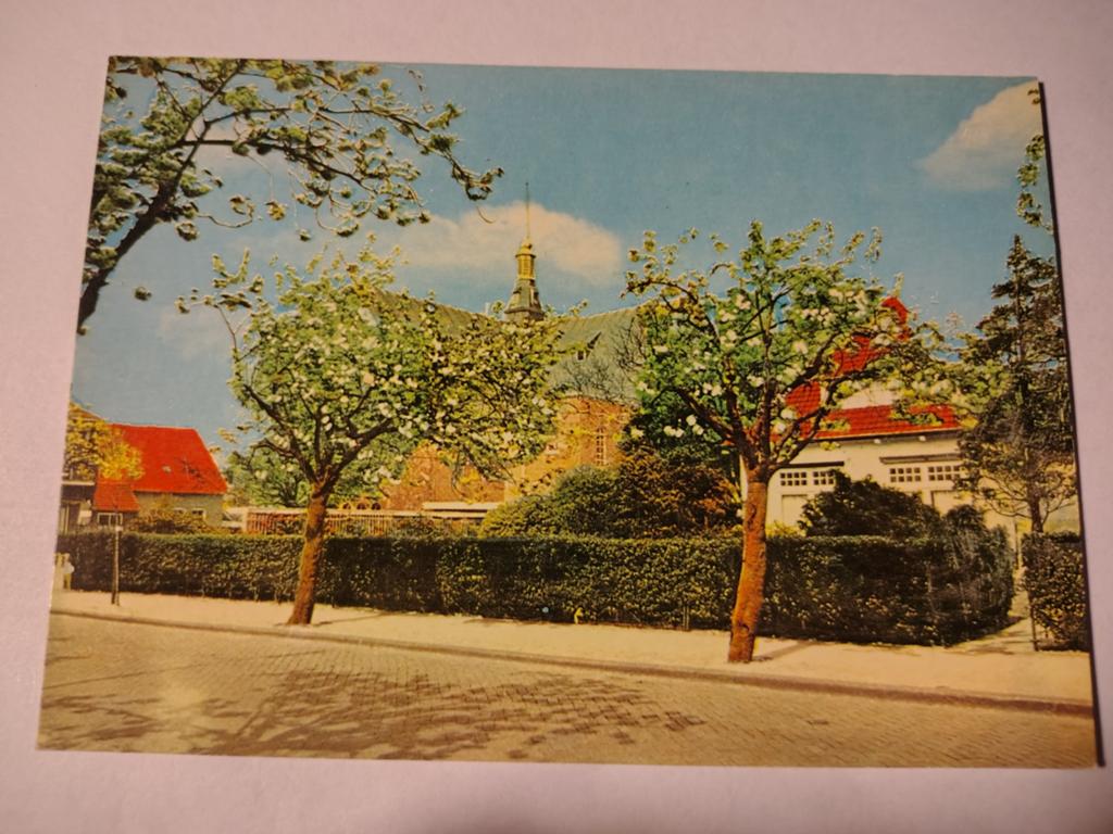 Sassenheim, Verzamelen, Ansichtkaarten | Nederland, Ophalen of Verzenden, 1940 tot 1960, Gelderland