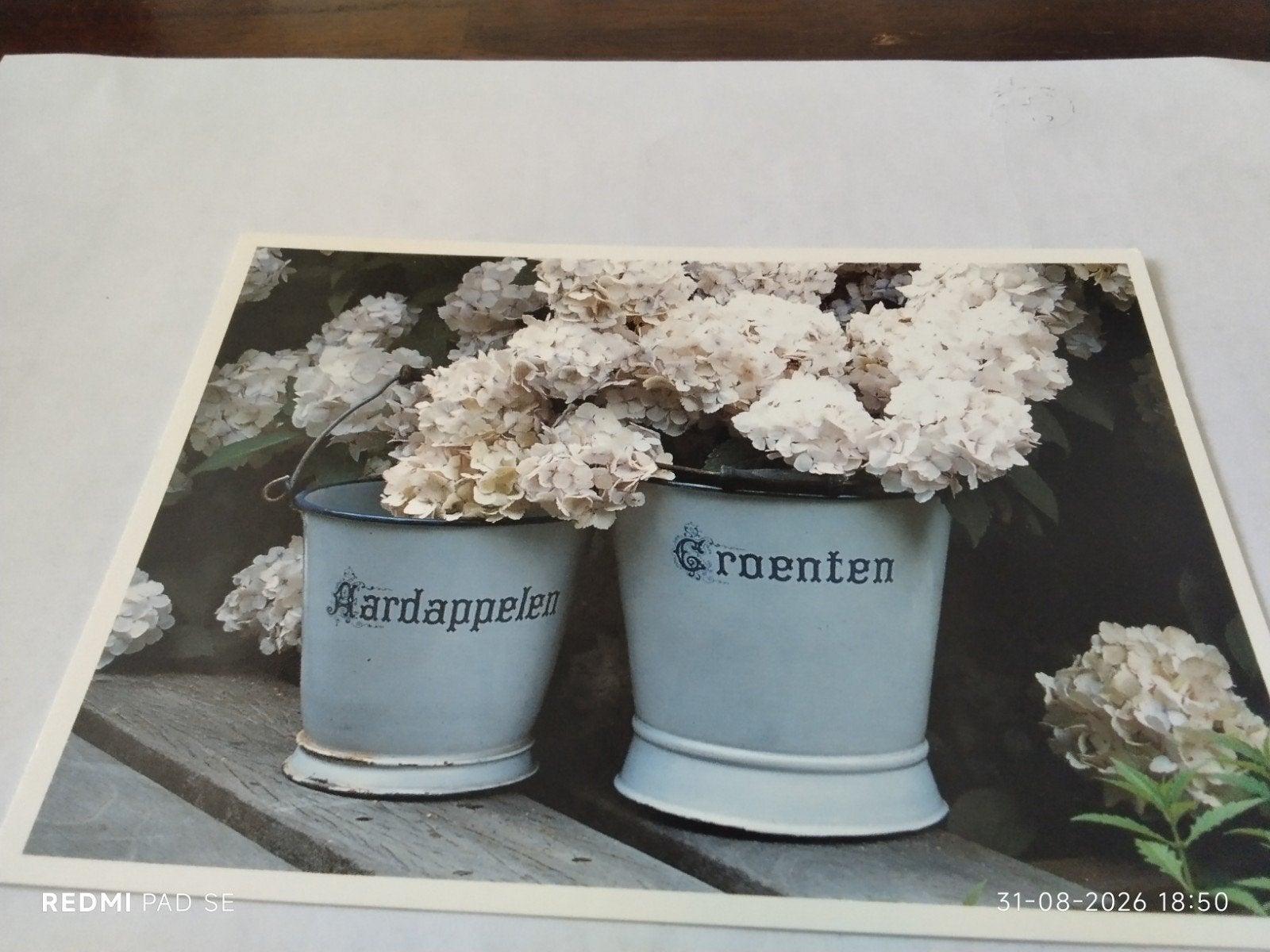 Ansichtkaart: Aardappelen en Groenten in emmers met bloemen, Ophalen of Verzenden