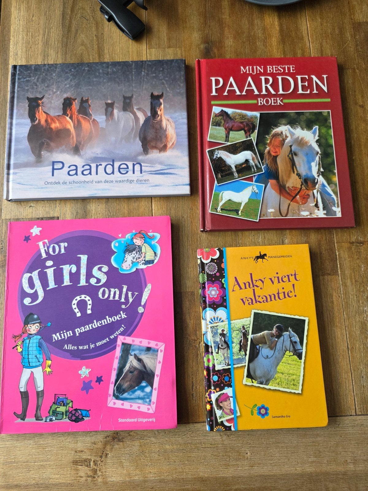 Paarden meiden boek boeken, Ophalen, Zo goed als nieuw