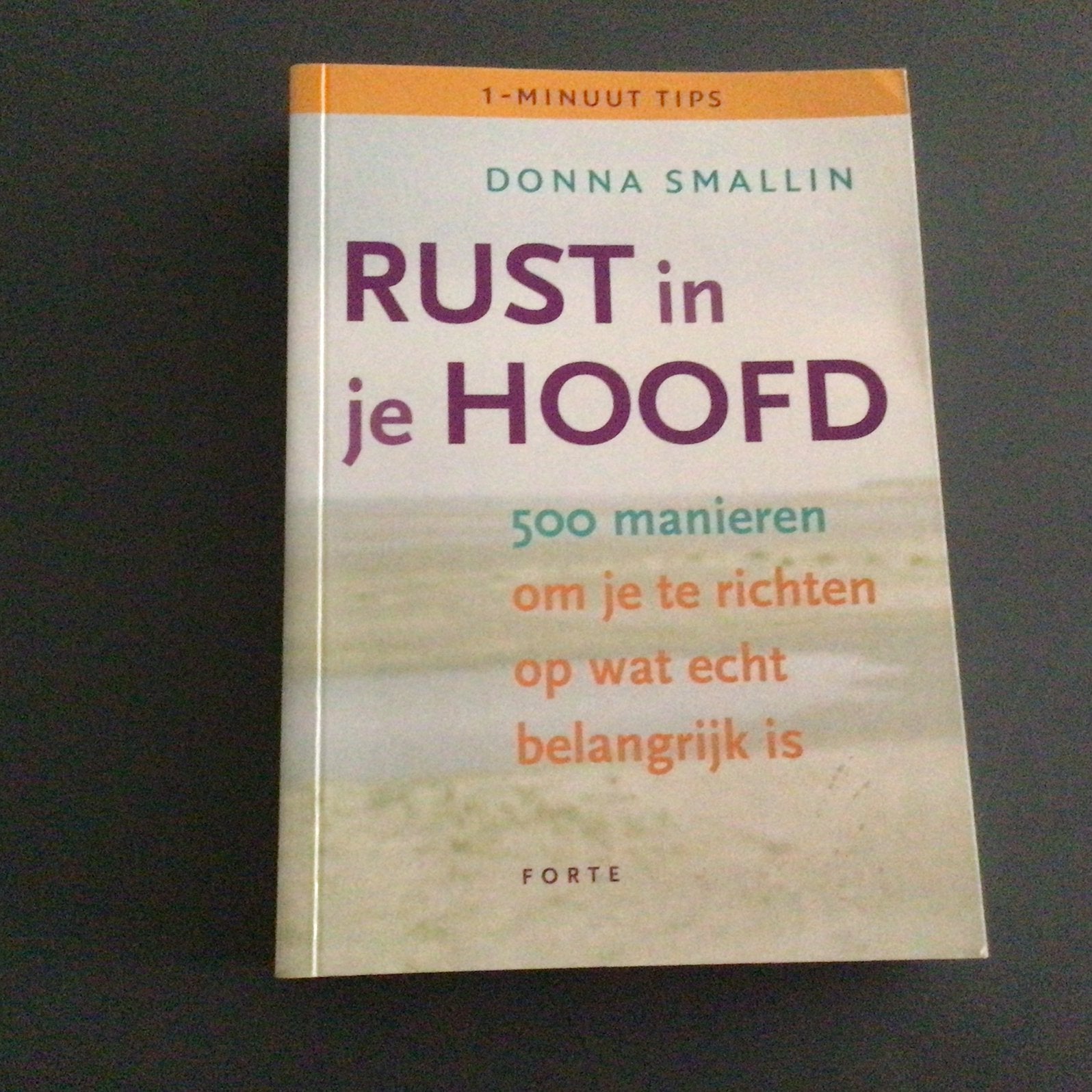 Donna Smallin - Rust in je hoofd, Boeken, Advies, Hulp en Training, Zo goed als nieuw, Ophalen of Verzenden