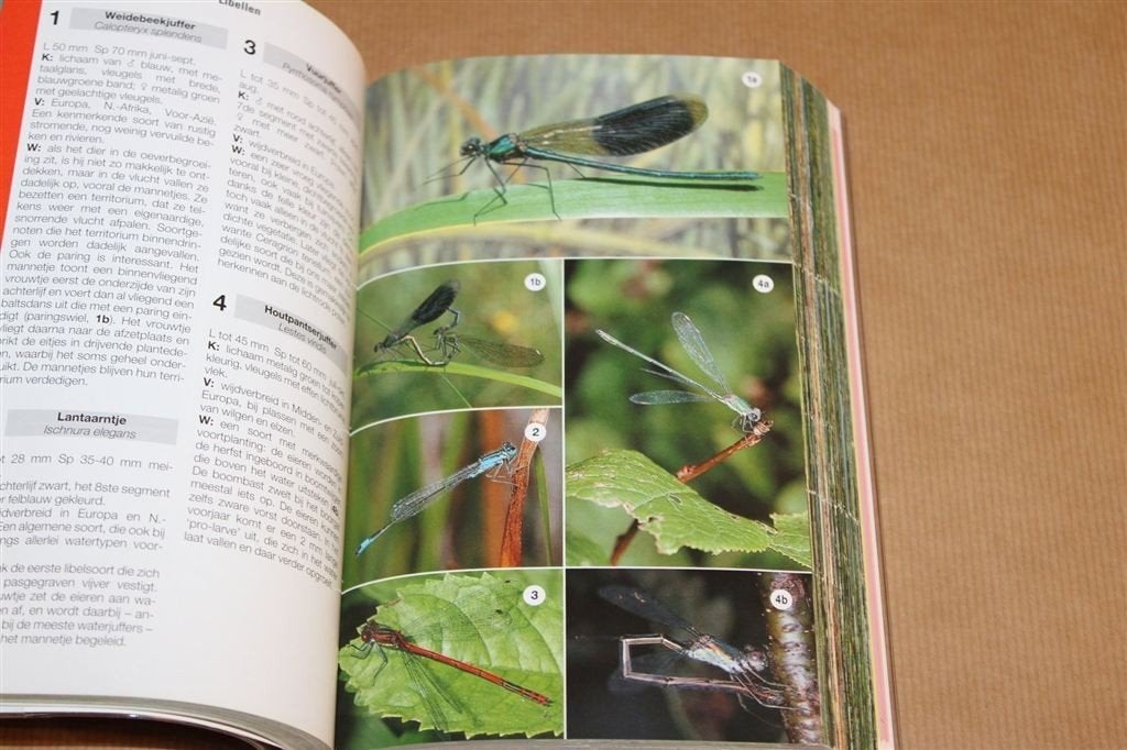ANWB Natuurgids — Dieren- en Plantengids voor Europa, Ophalen of Verzenden, Gelezen, Natuur algemeen