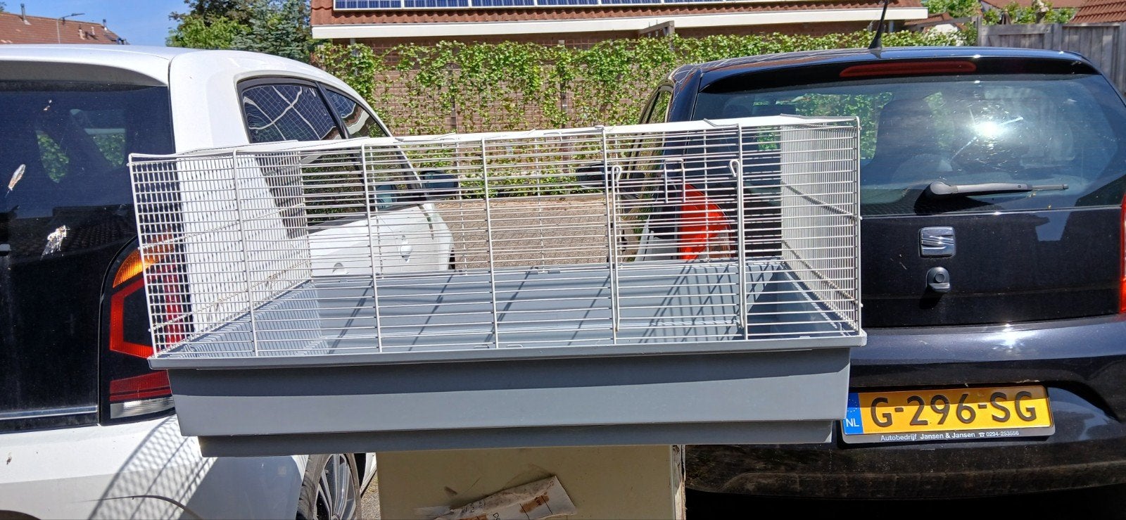 Te koop traliekooi, Ophalen of Verzenden, Drinken en Voederen