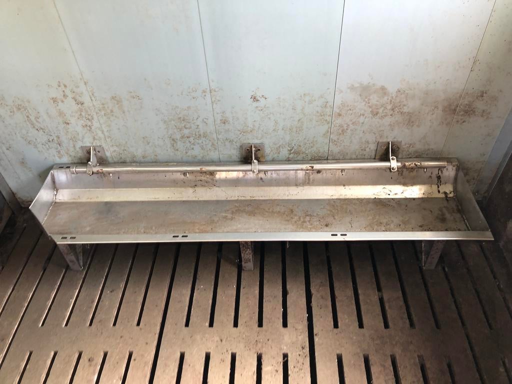 Te koop rvs troggen., Meerdere dieren, Varken
