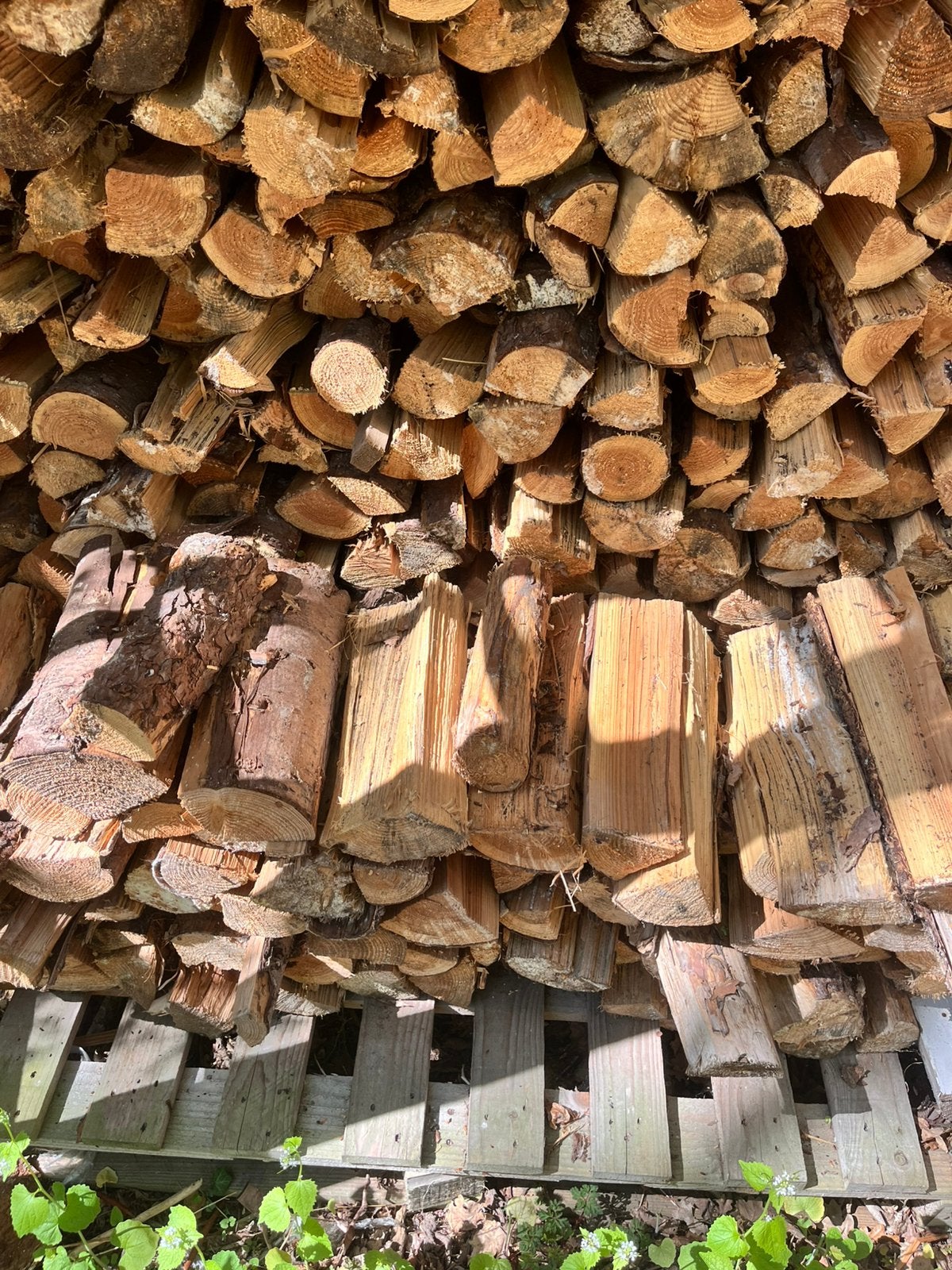 Diversen gemengd gekloofd haardhout, 6 m³ of meer, Ophalen, Beukenhout, Blokken