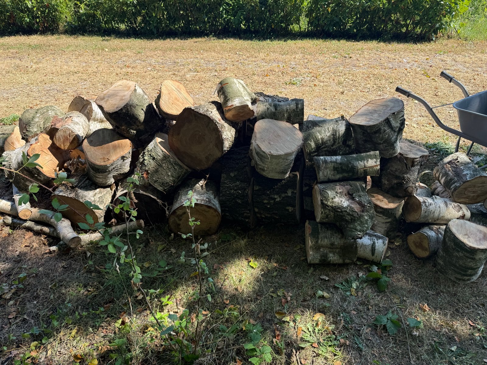 Haardhout stammen berkenhout, Tuin en Terras, Haardhout, Minder dan 3 m³, Ophalen, Berkenhout, Stammen