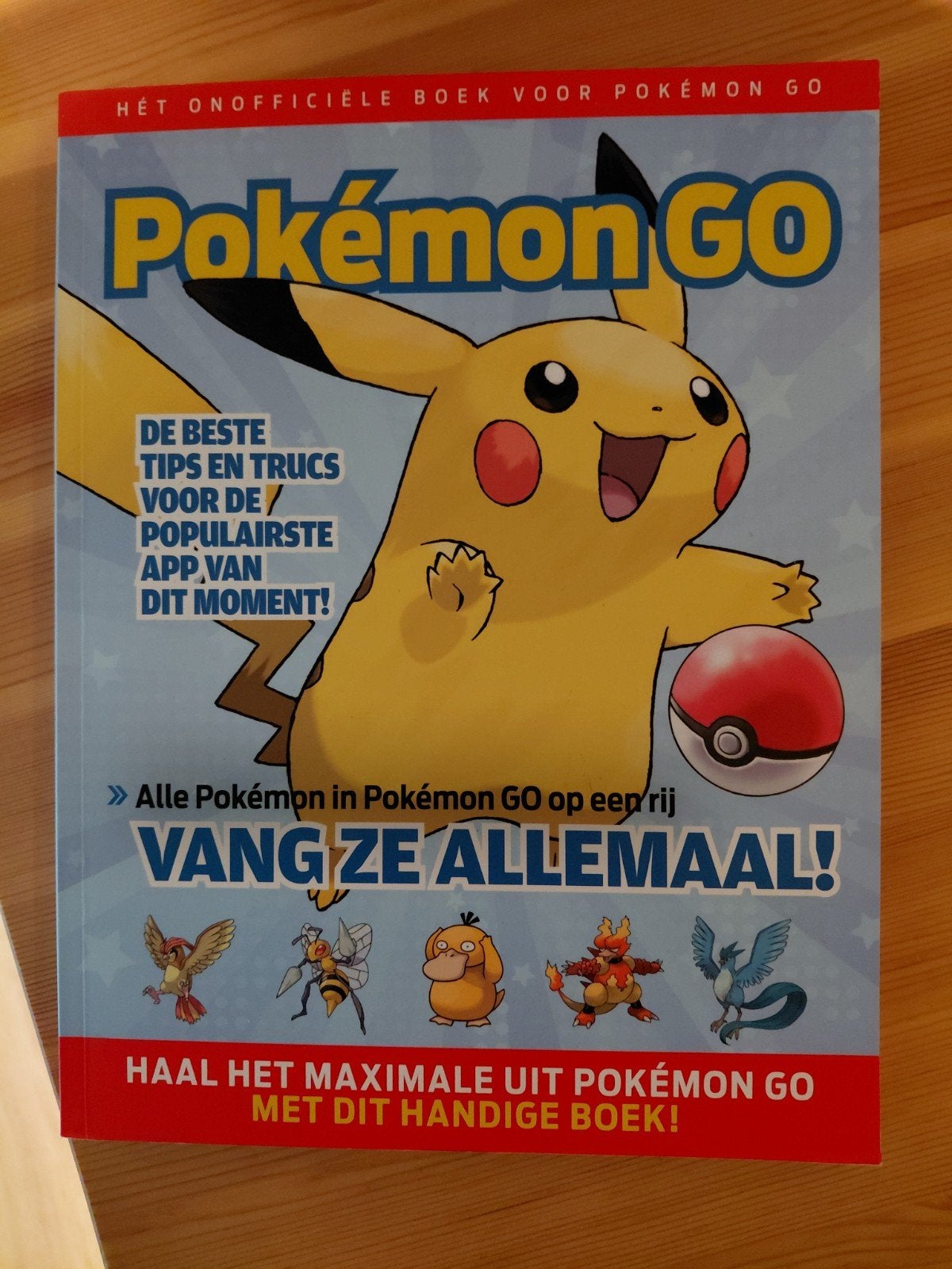 Pokemon Go handboek, Ophalen of Verzenden, Zo goed als nieuw