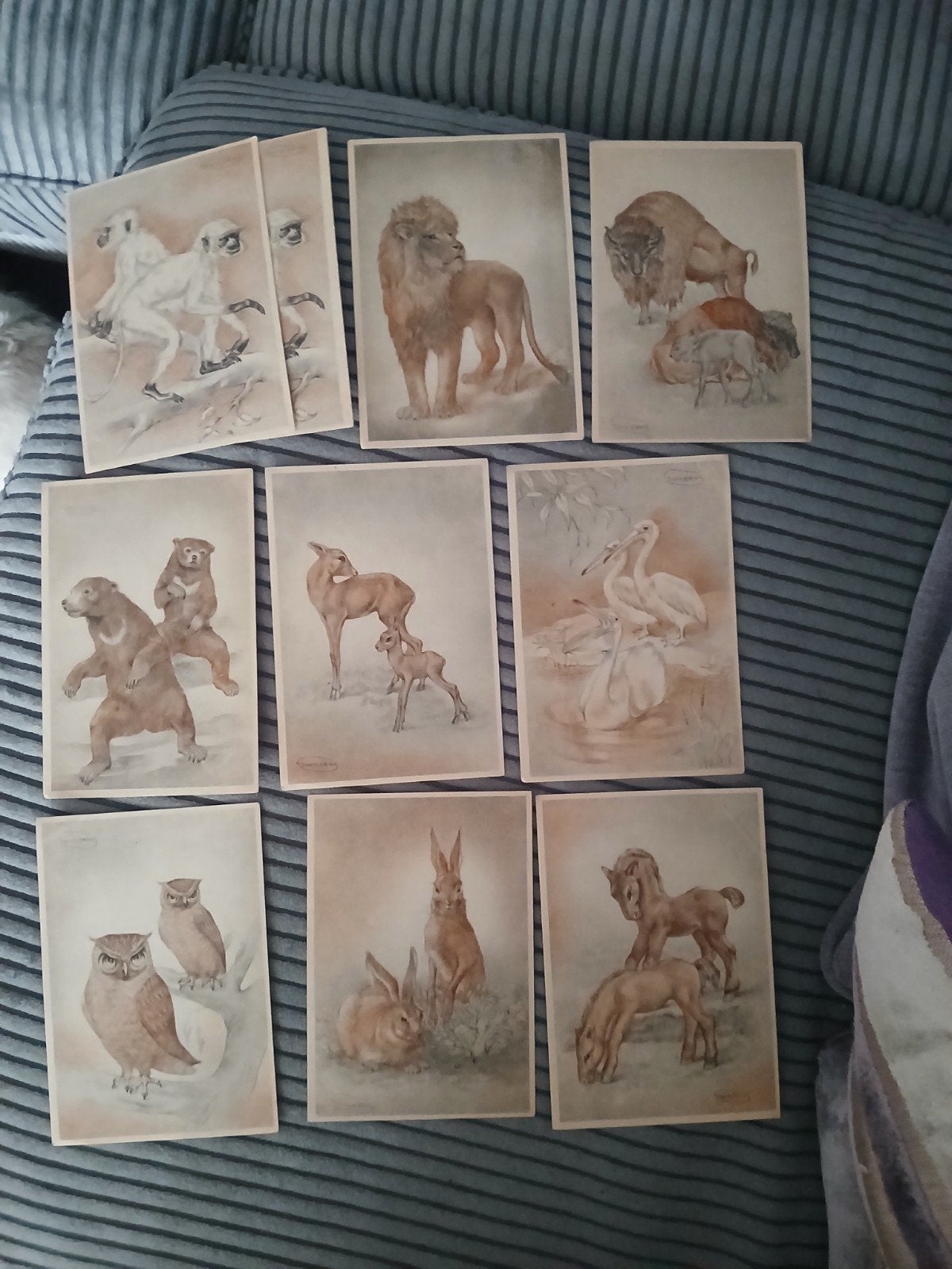 Set van 12 vintage dieren prenten - diverse soorten, Verzamelen, Dierenverzamelingen, Ophalen of Verzenden, Gebruikt, Overige soorten