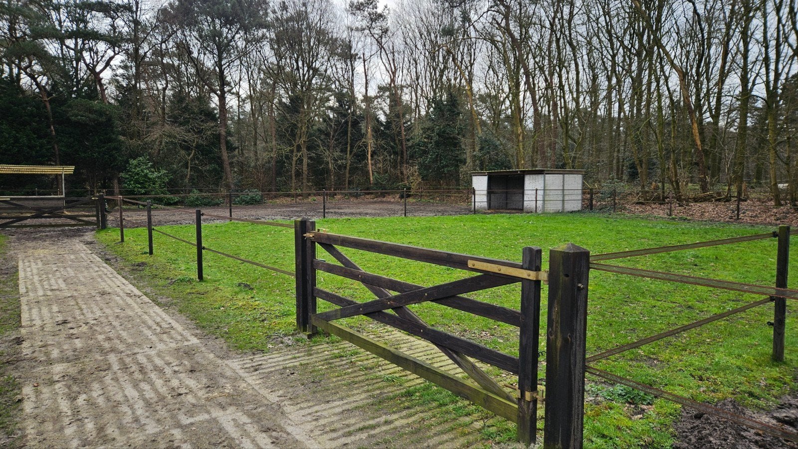 pensionstal direct aan de rucphense bossen, Dieren en Toebehoren, 2 of 3 paarden of pony's