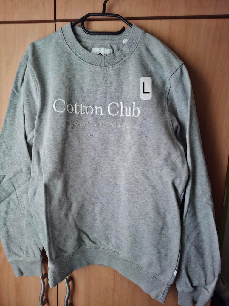 Grijze sweater, Kleding | Heren, Truien en Vesten, Ophalen of Verzenden, Gedragen, Grijs