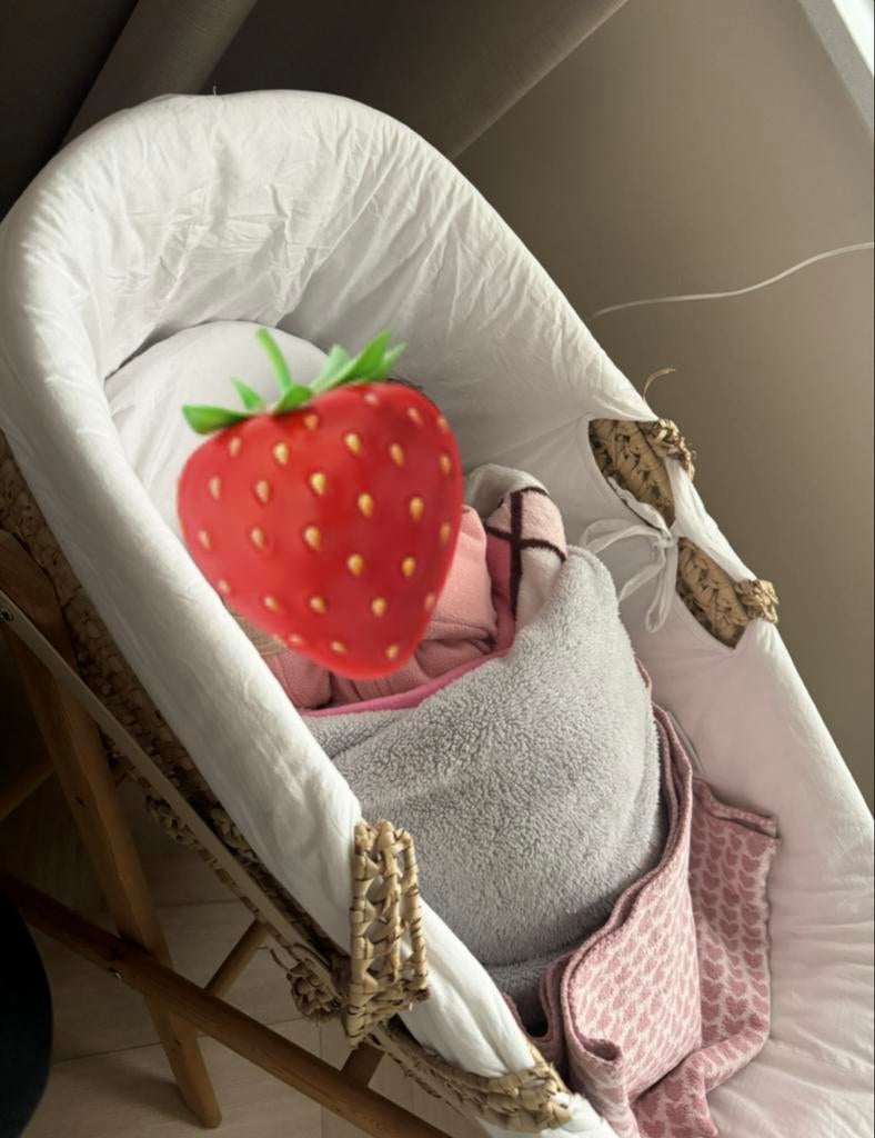 Mooie Mozesmand Wieg voor Baby - Zo Goed als Nieuw, Ophalen, Zo goed als nieuw, Wieg