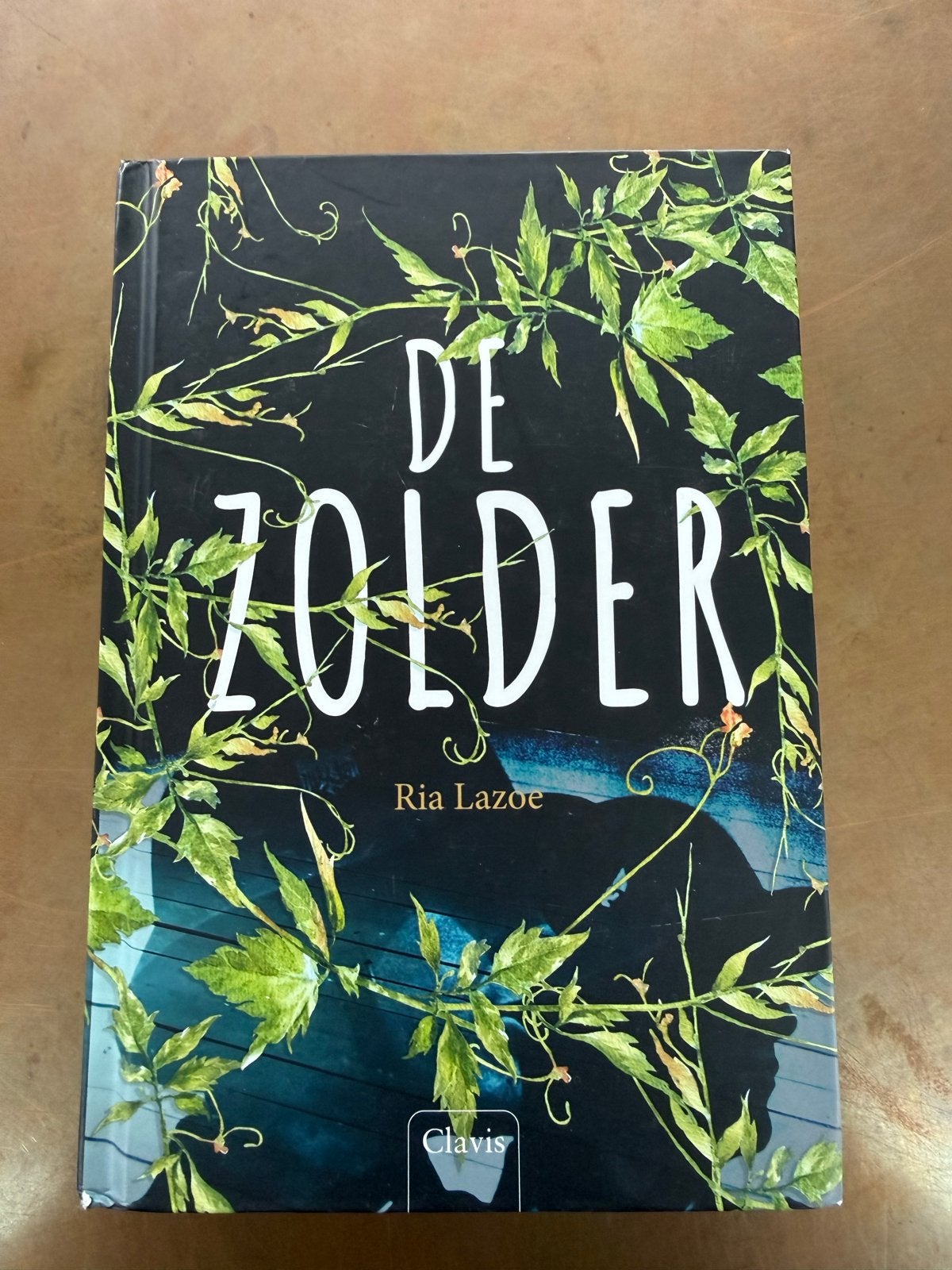 De Zolder - Ria Lazoe (Clavis), Ophalen of Verzenden, Zo goed als nieuw