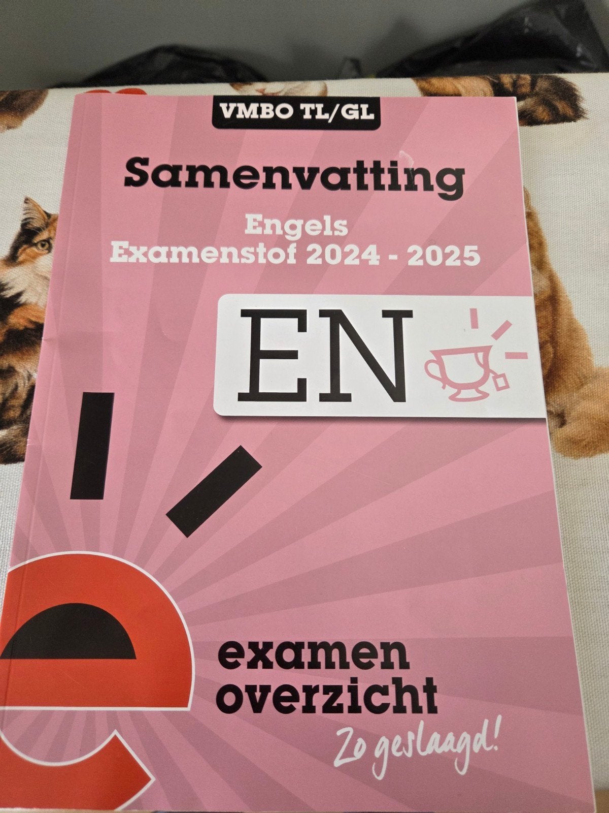 Samenvatting Engels Examenstof VMBO TL/GL 2024-2025, Ophalen of Verzenden, Zo goed als nieuw, VMBO, Engels