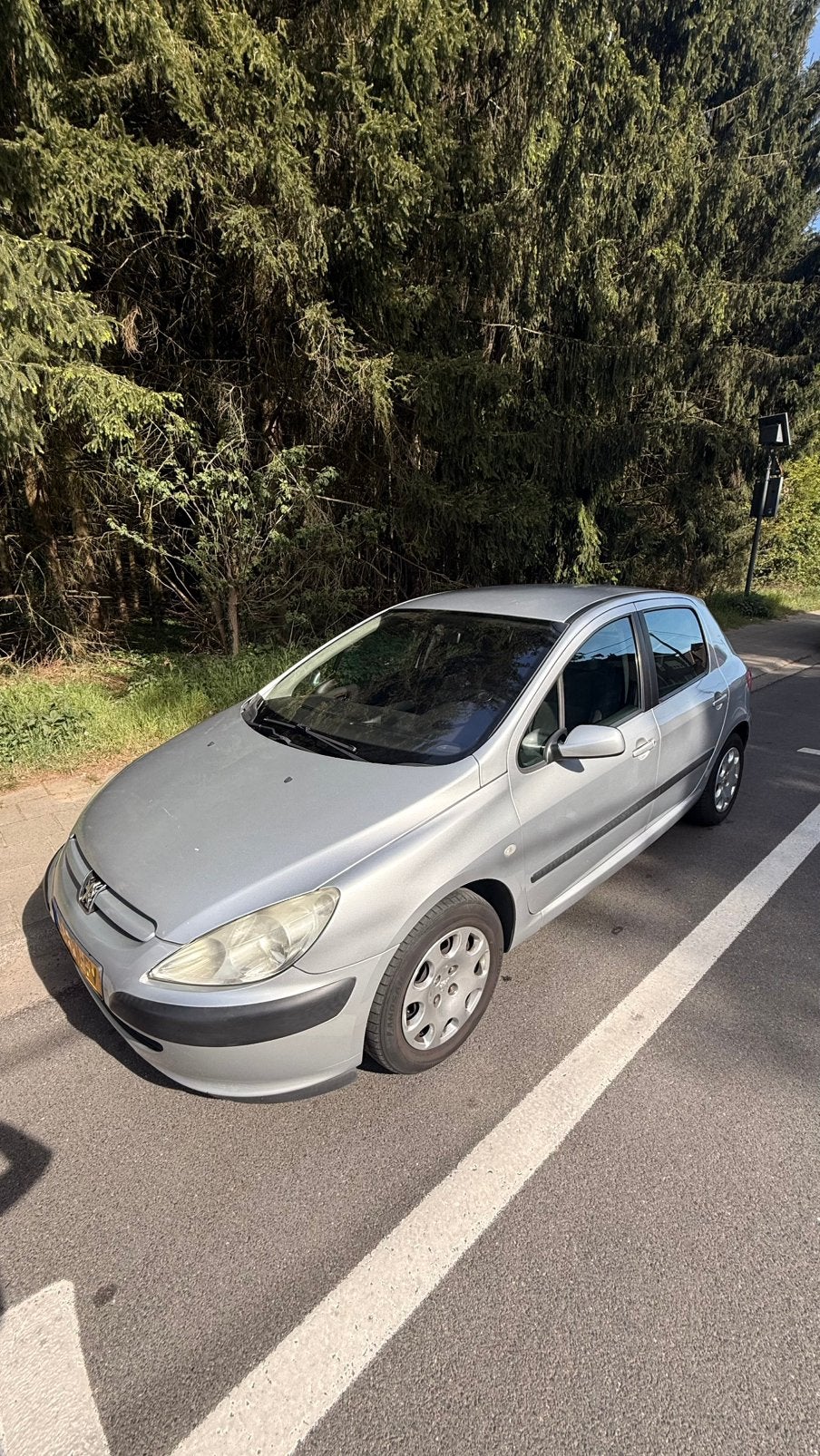 Peugeot 307 1.6 16V XR 5DR AUT 2004 Grijs, 4 cilinders, 1204 kg, Origineel Nederlands, 630 kg