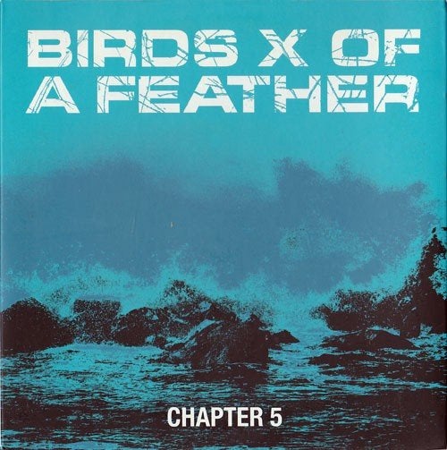Birds of a Feather -Chapter 5 7" NL Straight Edge Hardcore, Overige genres, 7 inch, Inclusief binnenhoes, Ophalen of Verzenden