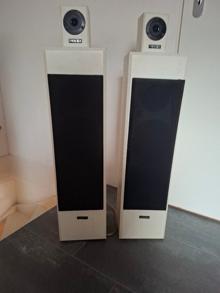 speakers, Audio, Tv en Foto, Ophalen of Verzenden, Gebruikt, Vloerstaande luidspreker, Overige merken