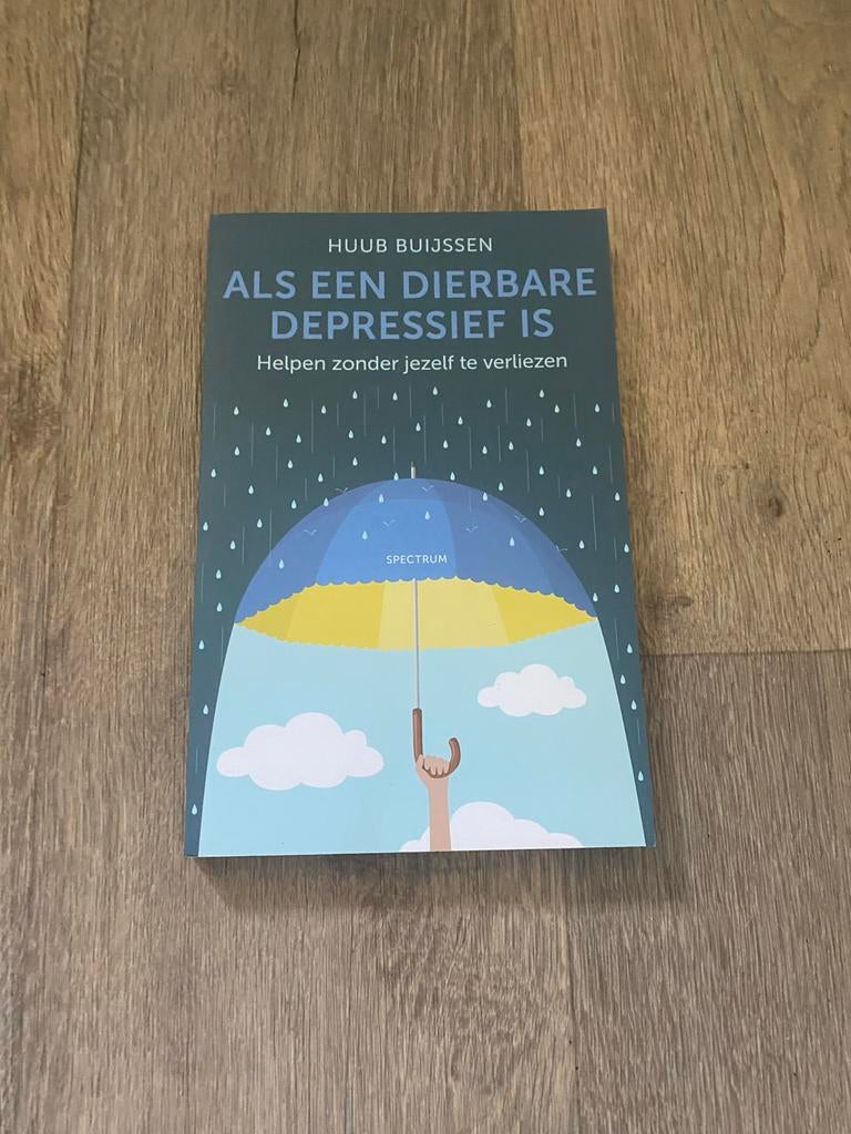 Als een dierbare depressief is - Huub Buijssen, Boeken, Ophalen of Verzenden, Zo goed als nieuw, Klinische psychologie