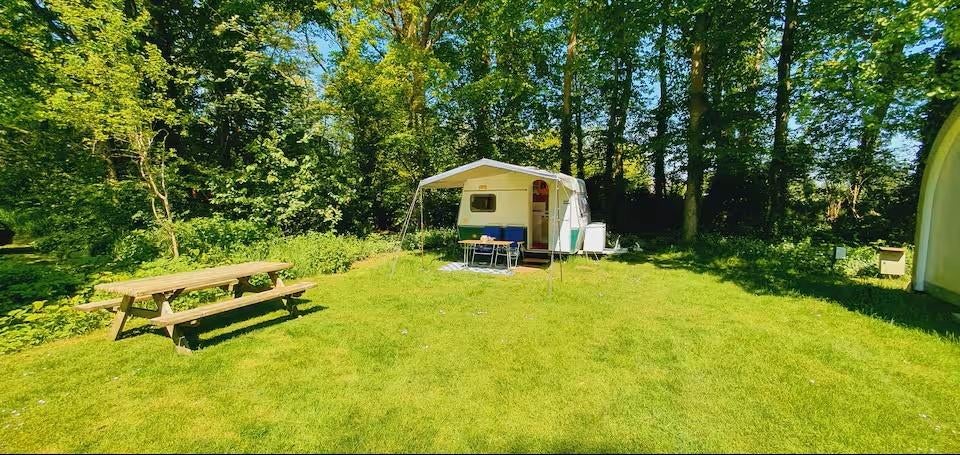 Retro caravan, Caravans en Kamperen, Caravans, Omvormbare zithoek, Treinzit, Tot en met 3, Bürstner