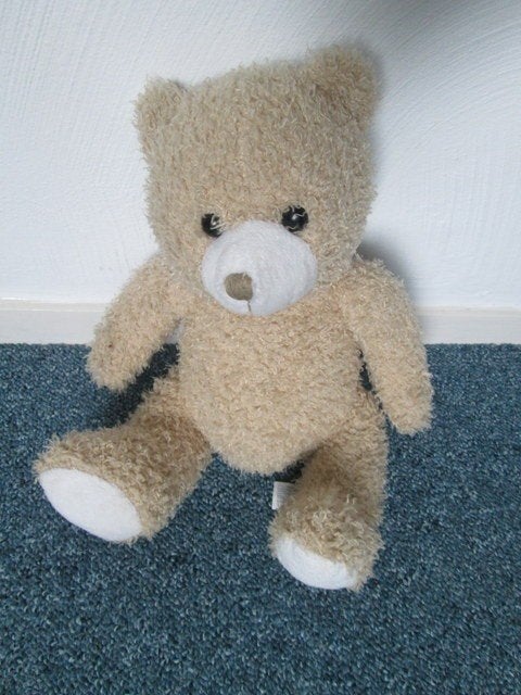 Leuke knuffel beige beer, 30, Ophalen of Verzenden, Nieuw, Beer