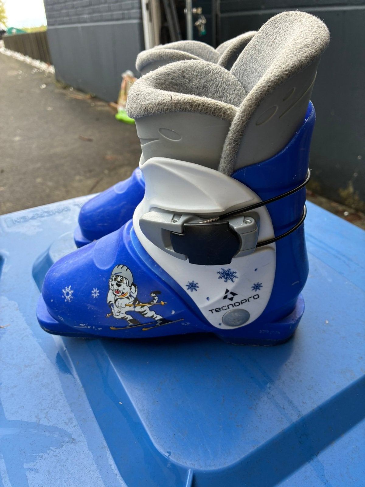Skischoenen maat 18,5, Sport en Fitness, Ophalen, Zo goed als nieuw, 160 tot 180 cm, Schoenen