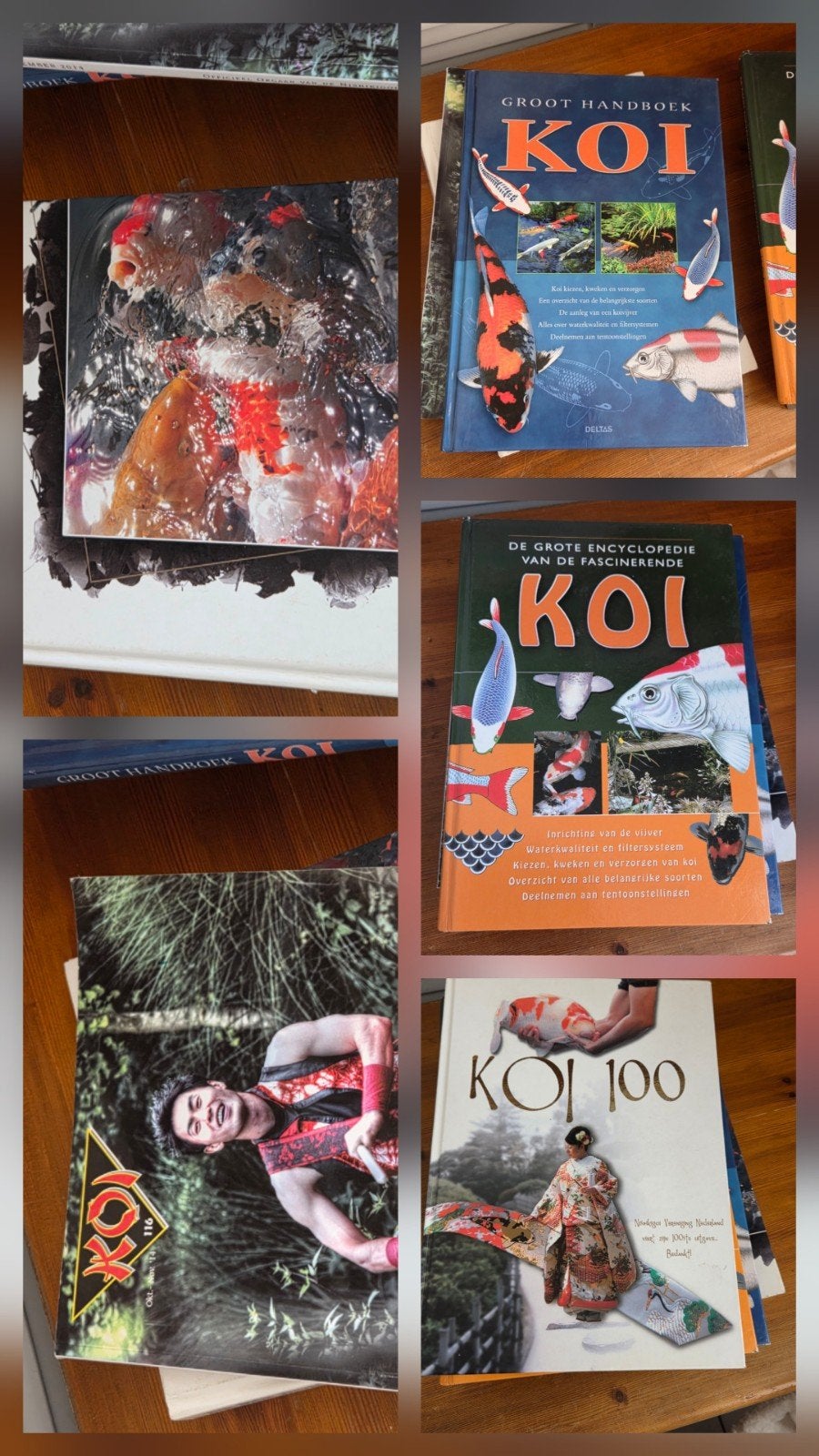 6 koi boeken, Boeken, Strips | Comics, Meerdere comics, Ophalen of Verzenden, Japan (Manga)