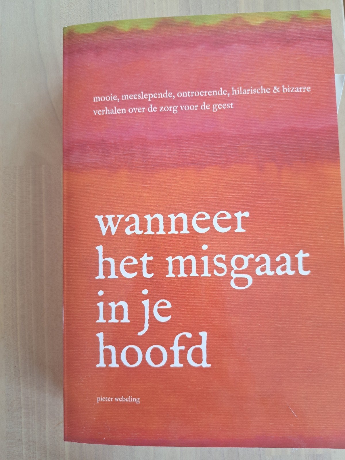 Wanneer het misgaat in je hoofd - Pieter Webeling, Boeken, Ophalen of Verzenden