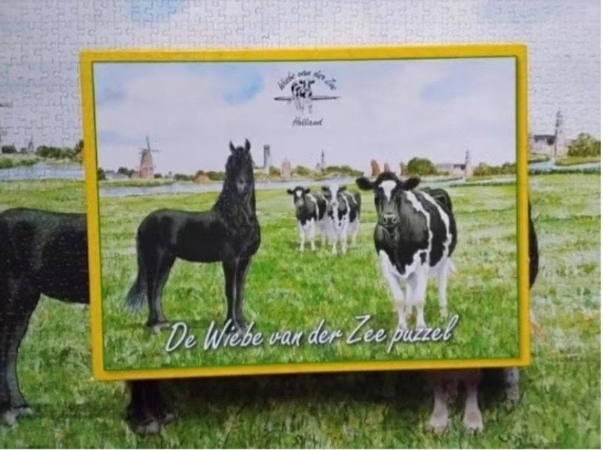 Puzzel Wiebe van der zee 'Friesland', Ophalen, 500 t/m 1500 stukjes, Zo goed als nieuw, Legpuzzel