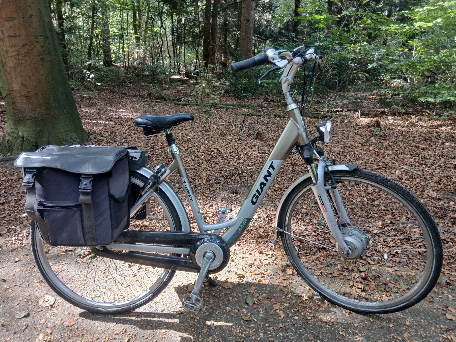 giant twist go double, Ophalen, Gebruikt, Minder dan 30 km per accu, Overige merken