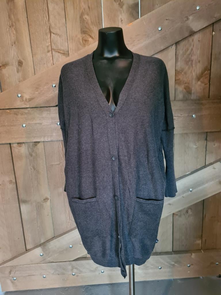 Groot vest Didi mt XS GRIJS, Kleding | Dames, Truien en Vesten, Didi, Ophalen of Verzenden, Zo goed als nieuw, Maat 34 (XS) of kleiner