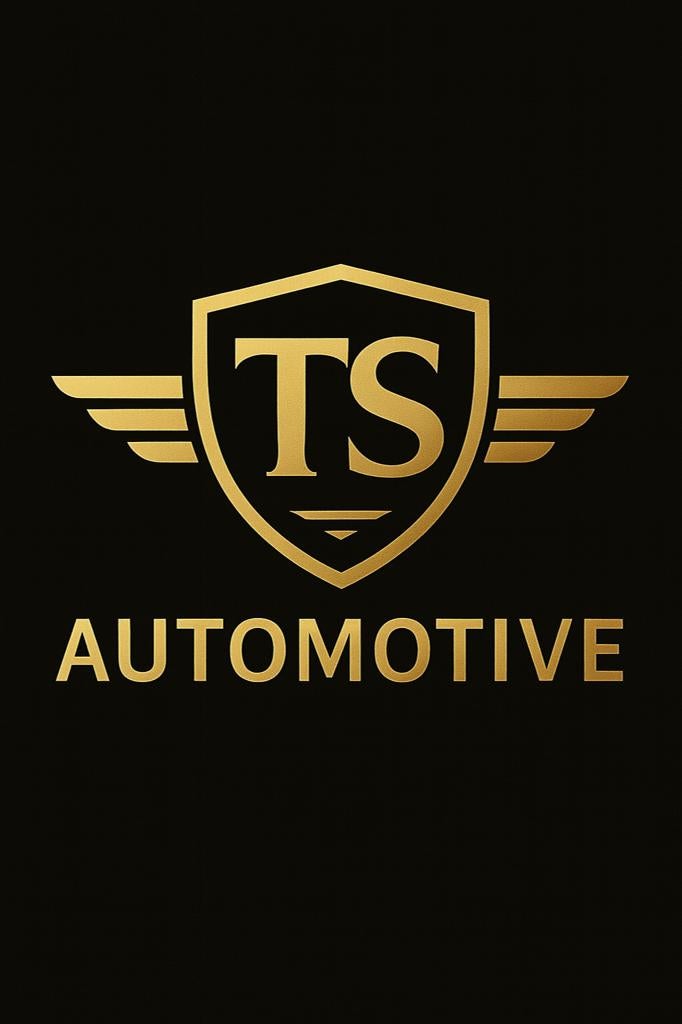 ≥ TS Automotive uit Halsteren - Advertenties op Marktplaats