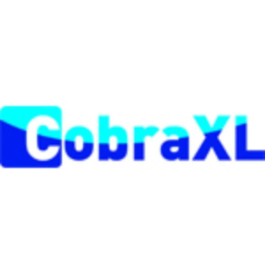 CobraXL BV
