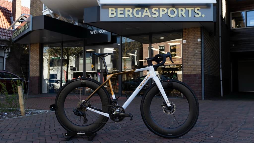 Bergasports
