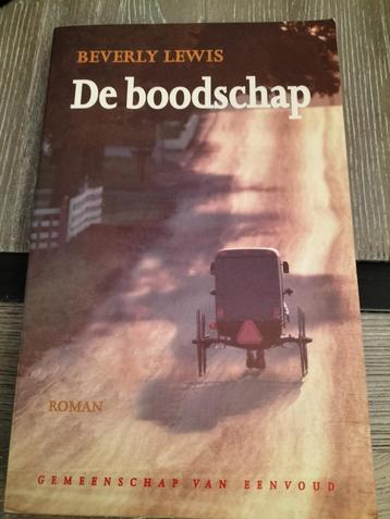 Beverly Lewis De boodschap  beschikbaar voor biedingen